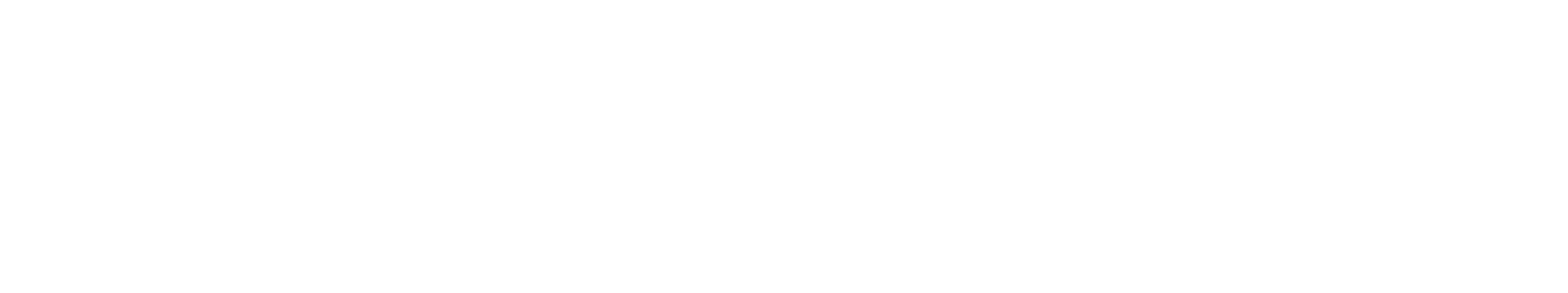 RECHE Real Estate
